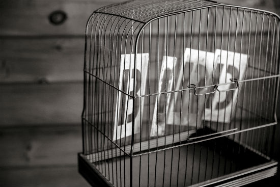cage-bird-black-white.jpg